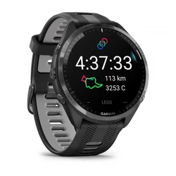 Garmin 965 010-02809-10