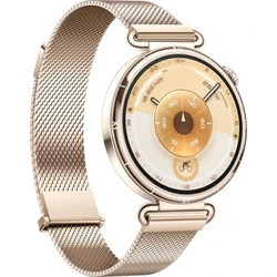 Huawei Watch GT 6 41 мм Gold 55020FVW