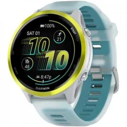 Garmin Forerunner 010-02971-01