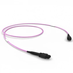 Аксессуар для сервера Patchwork 12 x 50/125 OM4, MPO(12)f/MPO(12)f 86214201