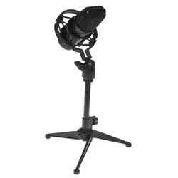 Микрофон Ritmix RDM-160 80000132