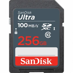 Флеш (Flash) карты SanDisk SDSDUNR-256G-GN3IN 256 ГБ