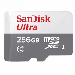 Флеш (Flash) карты SanDisk SDSQUNR-256G-GN3MN 256 ГБ
