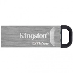 USB флешка (Flash) Kingston DTKN/512GB 512 ГБ