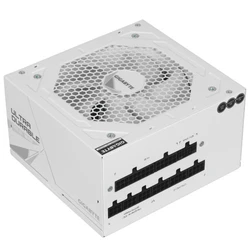 Блок питания Gigabyte UD1000GM PG5 V2 ICE 28200-U10GI-1CEUR 1000 Вт