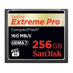 Флеш (Flash) карты SanDisk CF 256GB Extreme Pro SDCFXPS-256G-X46 256 ГБ