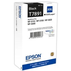 Струйный картридж Epson C13T789140
