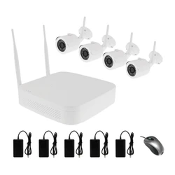 Комплект видеонаблюдения Cantonk NVRPG420RH10