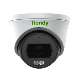 IP видеокамера Tiandy TC-C32XN-IPEYE (Купольная, Уличная, Проводная, Фиксированный объектив, 2.8 мм, 1/2.9", 2 Мп ~ 1920×1080 Full HD)