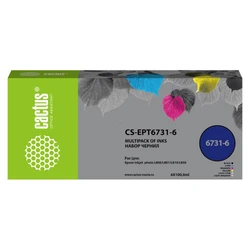 Струйный картридж Cactus CS-EPT6731-6