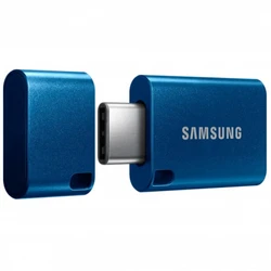 USB флешка (Flash) Samsung MUF-256DA/APC 256 ГБ