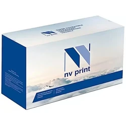 Струйный картридж NV Print NV-C13T02S300