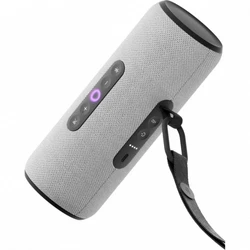 Яндекс Станция Стрит Алиса Серый YNDX-00030GRY