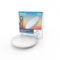 Gauss IoT Smart Home 25W 2000lm 2050112