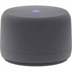 Яндекс Станция Лайт 2 без часов Графит YNDX-00028GRY