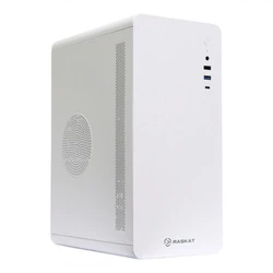 Персональный компьютер Raskat STANDART 300 STANDART300185509 Core i3, 12100, 3.3, 8 Гб