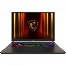 Ноутбук MSI Vector 17 HX AI A2XWJG (9S7-17S372-099) 17 ", WQXGA 2560x1600 (16:10), Core Ultra 9, 32 Гб