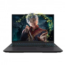 Ноутбук Dream Machines RX5070Ti-16KZ20 16 ", WQXGA 2560x1600 (16:10), Core i9, 16 Гб