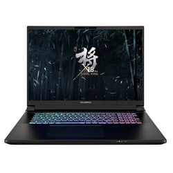 Ноутбук Colorful X18 Max A10207000031 18 ", WQXGA 2560x1600 (16:10), Core Ultra 9, 64 Гб