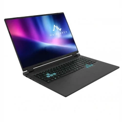 Ноутбук Maibenben Typhoon X18A-R98957 X18A-R989570R3RLB4E10 18 ", WUXGA 1920x1200 (16:10), Ryzen 9, 24 Гб