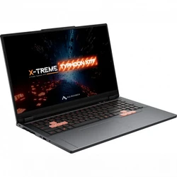 Ноутбук Maibenben X17F-R98956 X17F-R989560R34HG4E10 17.3 ", FHD 1920x1080 (16:9), Ryzen 9, 24 Гб