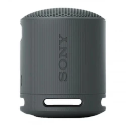 Портативная колонка Sony SRS-XB100/BCE