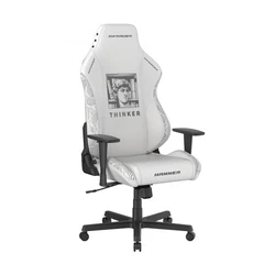 Компьютерный стул DXRacer Hammer GC/LHE23LTA/THINKER