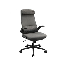 Компьютерный стул Cougar Stryder Gray 3MSTDGRB.0001