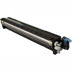 Опция для печатной техники Ricoh D0BK3001