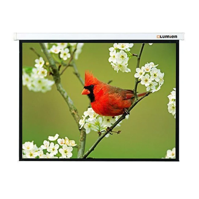 Проекционный экран Lumien LMP-100108