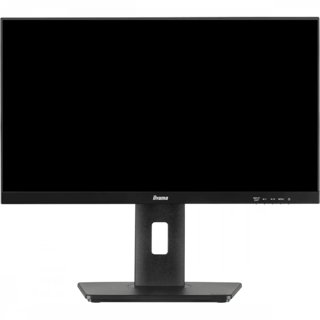 Монитор IIYAMA ProLite XUB2293HSU-B6 (21.5 ", IPS, Full HD 1920x1080 (16:9), 100 Гц)