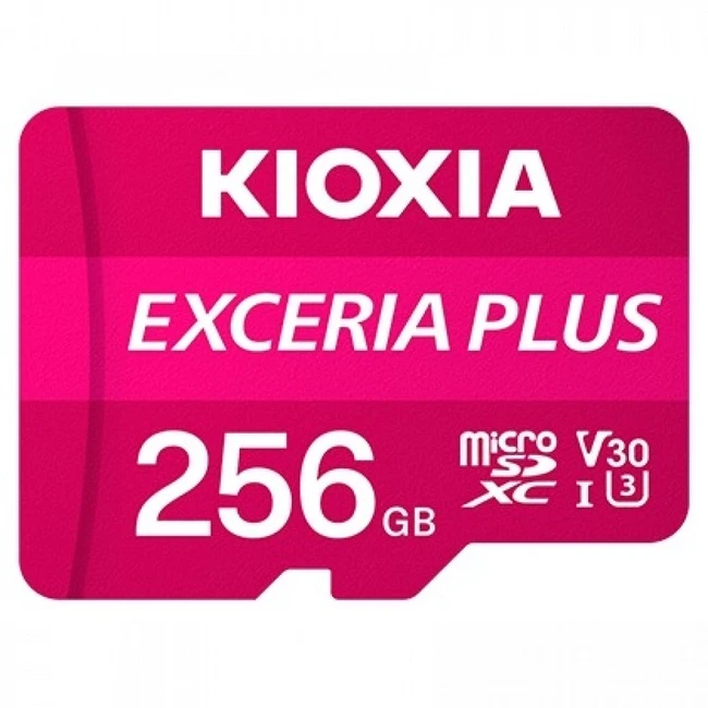 Флеш (Flash) карты KIOXIA LMPL1M256GG2 (256 ГБ)