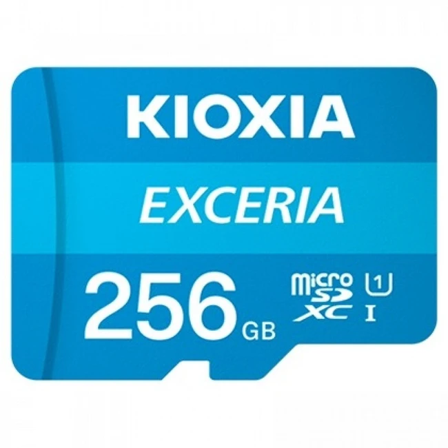 Флеш (Flash) карты KIOXIA LMEX1L256GG2 (256 ГБ)