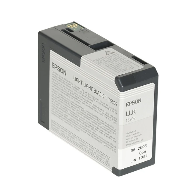 Струйный картридж Epson C13T580900