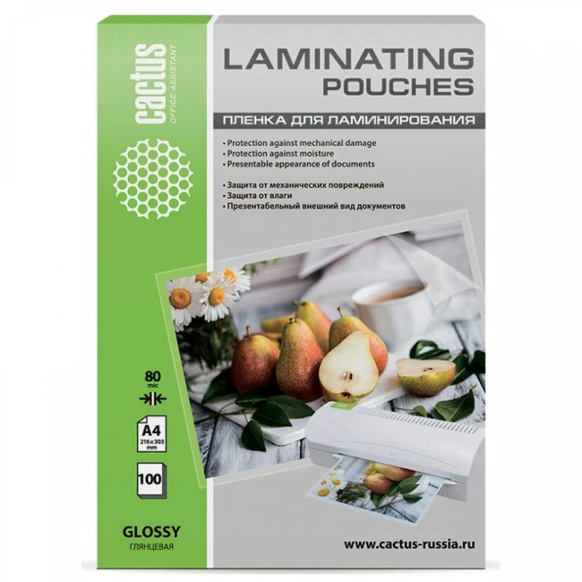 Cactus CS-LPGA480100