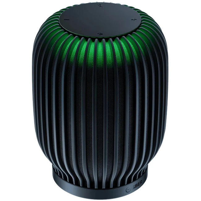 Sber Boom Black SBDV-00090A