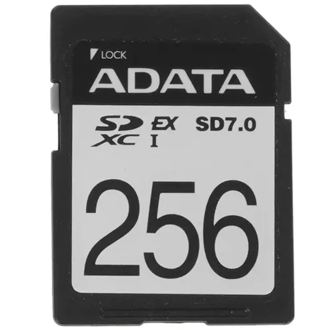 Флеш (Flash) карты ADATA ASD256GEX3L1-C (256 ГБ)