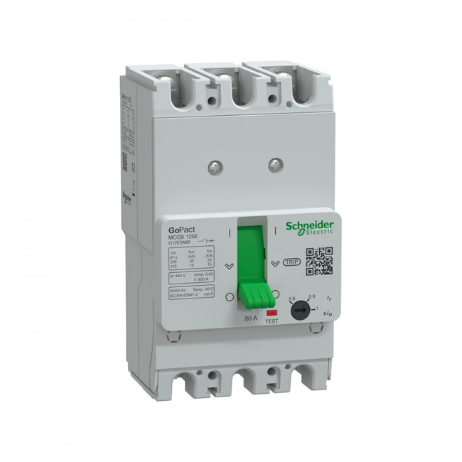 Schneider Electric G12E3A80
