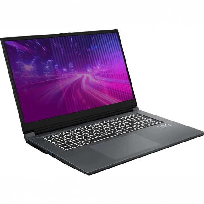 Ноутбук OSIO CyberLine C170I-002 17.3 ", FHD 1920x1080 (16:9), Core i5, 16 Гб